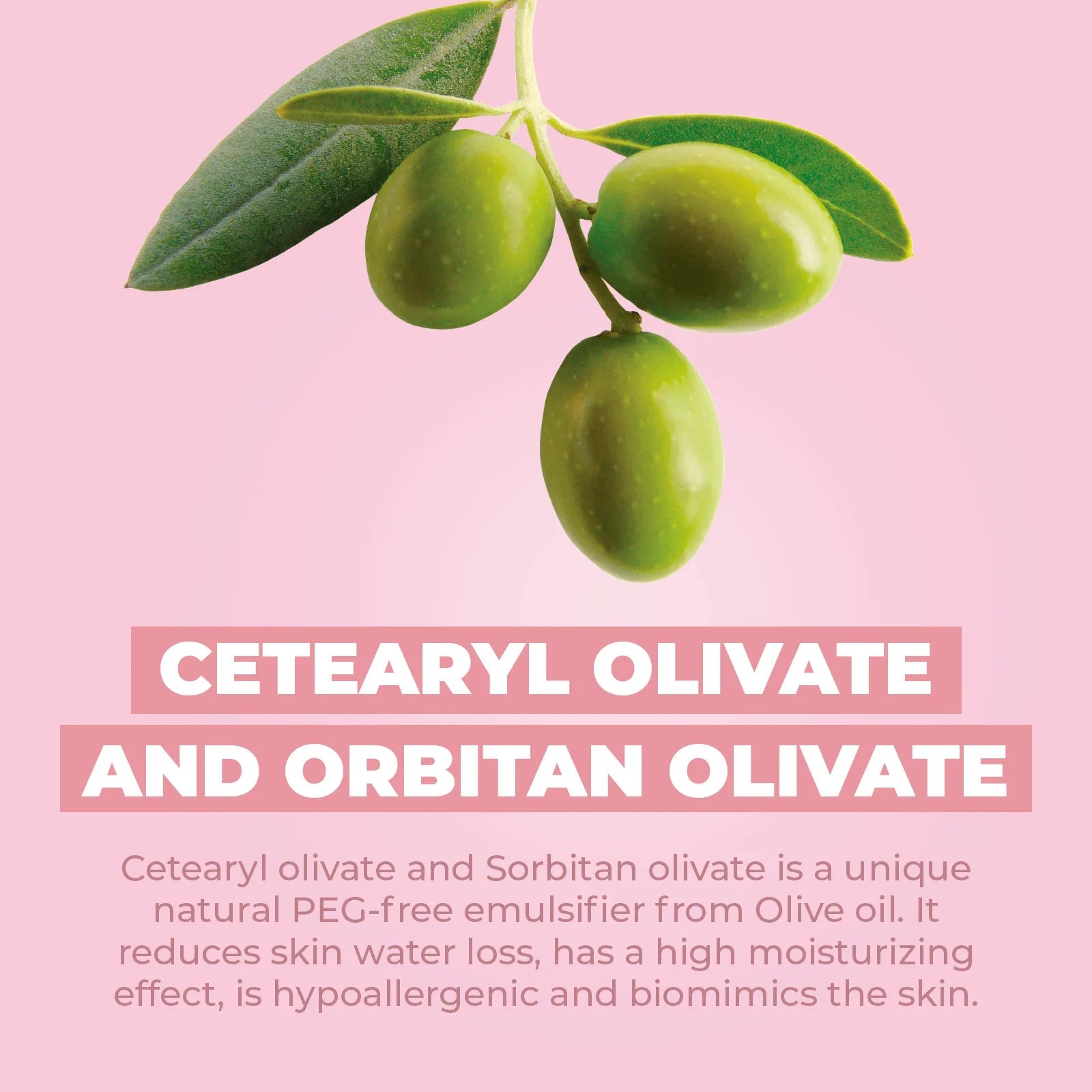 Three green olives with leaves on a soft pink background with text about Cetearyl Olivate and Sorbitan Olivate ingredients.