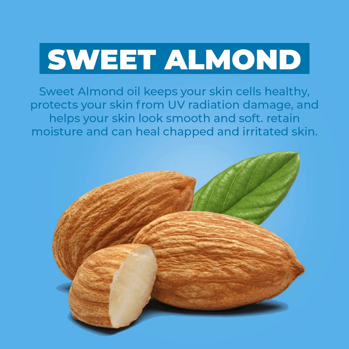 Whole and halved sweet almonds with a green leaf against a blue background, highlighting natural skincare ingredients.