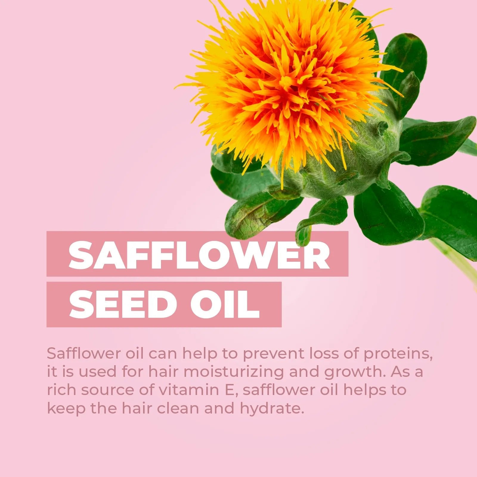 Bright orange safflower blossom on a soft pink background with white text highlighting Safflower Seed Oil benefits.