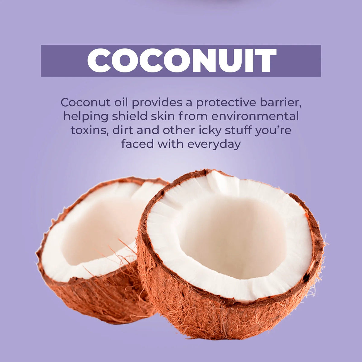 Two halved coconuts with white flesh and brown shells against a soft lavender background with educational text.
