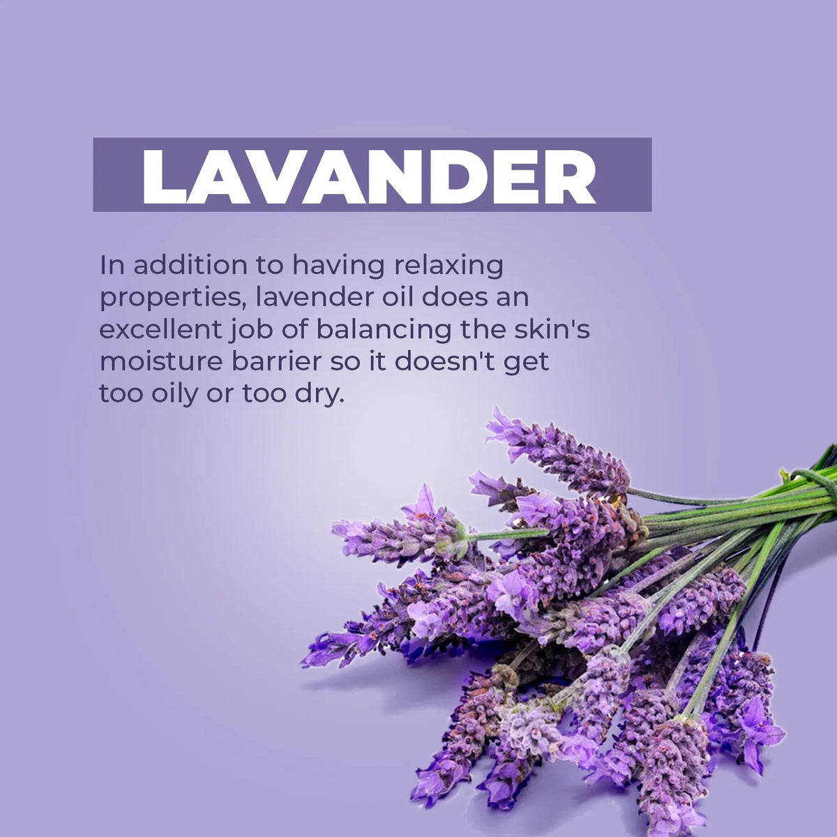 Fresh lavender sprigs on a soft purple background with text highlighting the skin-soothing benefits of lavender oil.