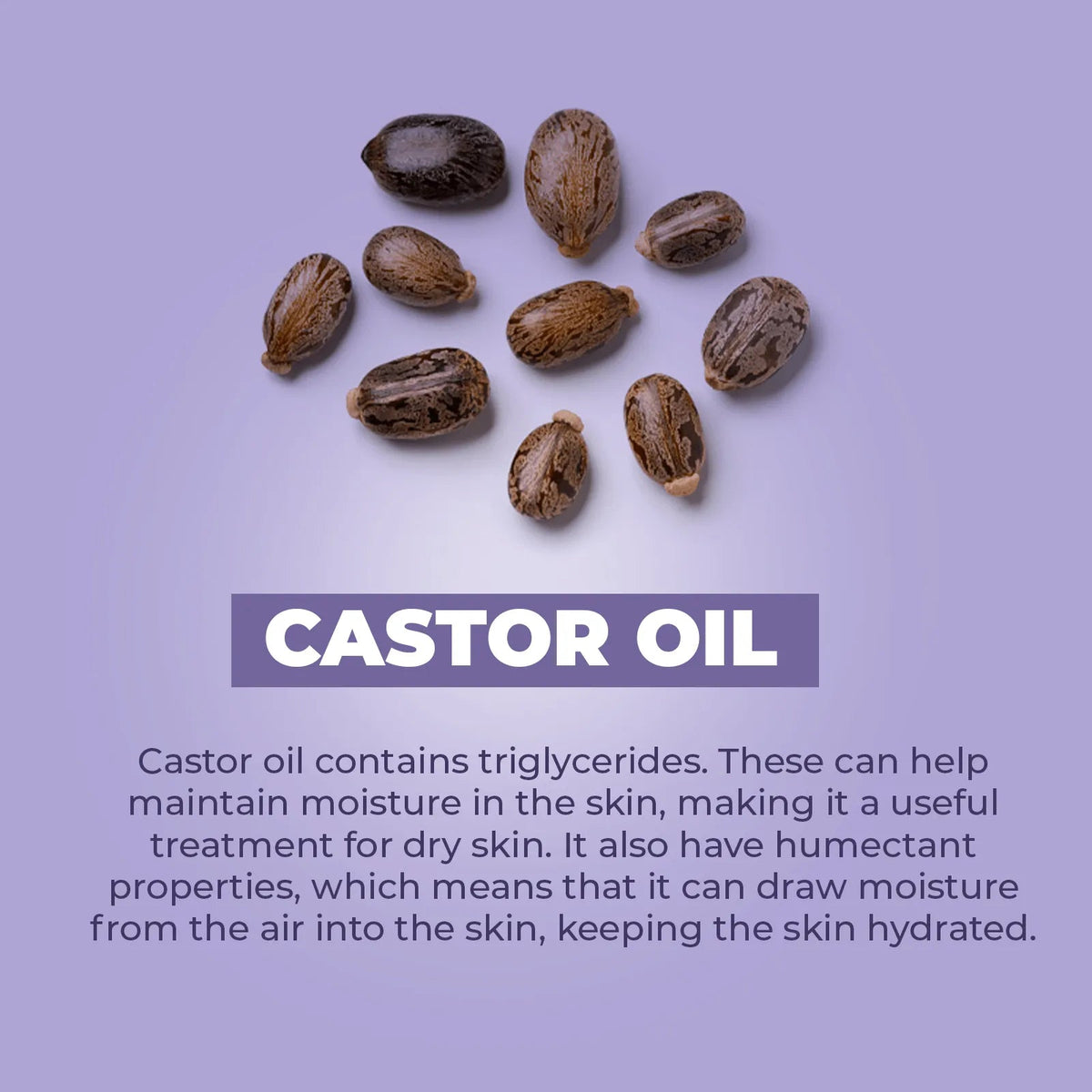 Brown castor oil seeds scattered on a soft purple background with the text Castor Oil displayed in a white box.