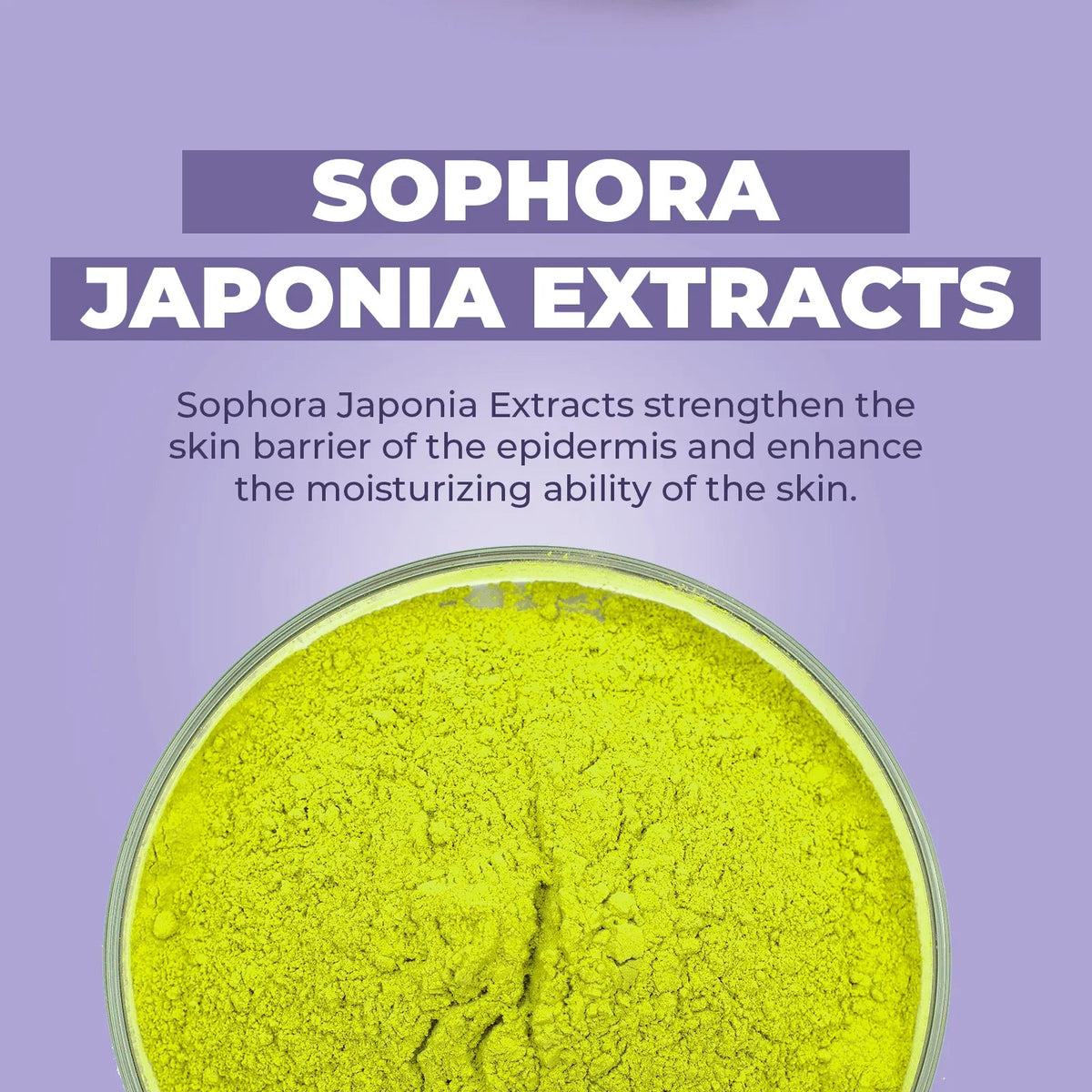 Bright green Sophora Japonia extract powder in a glass bowl against a soft purple background with descriptive text.